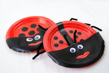 Ladybug/Spring Craft Kit